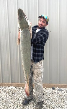 Cơ quan Dịch vụ Cá và Động vật hoang dã Hoa Kỳ cho biết, loài cá này thường xuất hiện từ Ohio đến Mississippi và Vịnh Mexico, nhưng việc chúng xuất hiện ở sông Neosho vẫn là một bí ẩn. Sự xuất hiện của loài cá khác bản địa có thể gây hại cho hệ sinh thái và là bất hợp pháp ở Kansas nếu chúng không được đánh bắt từ vùng biển đó.