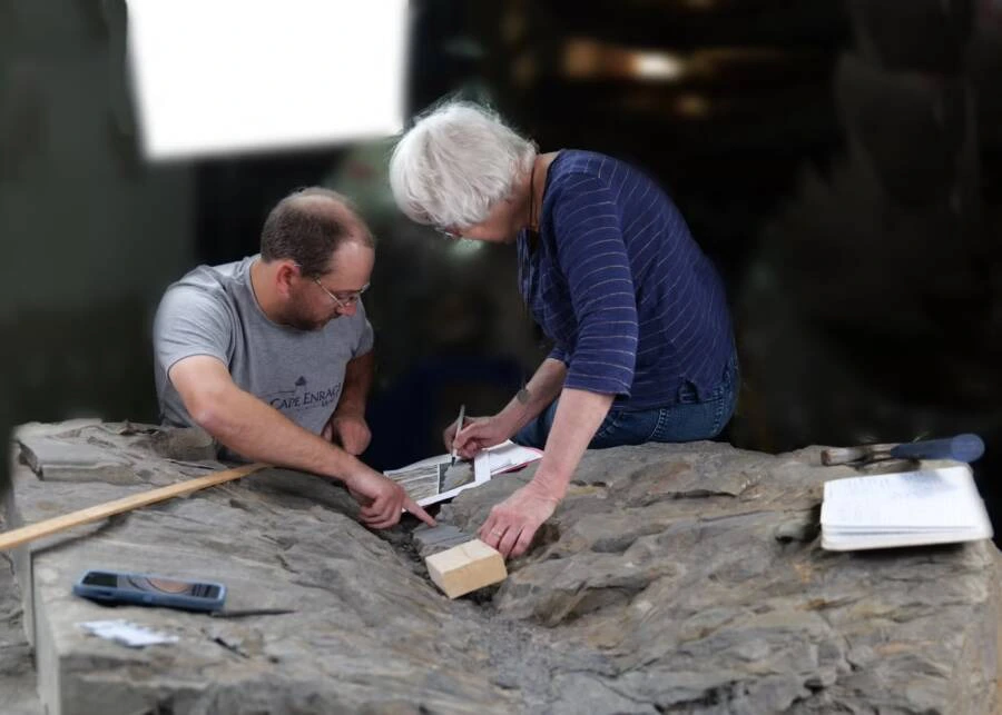 Hóa thạch của loài cây ngoài hành tinh này đã được khai quật tại một mỏ đá ở New Brunswick, và các nhà khoa học đã phát hiện thêm bốn mẫu hóa thạch khác. Một trong những mẫu vật được bảo quản tốt, cho phép chuyên gia tái tạo hình dáng của loài cây.