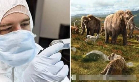 3. Voi ma mút: Các nghiên cứu đang thực hiện dự án để đưa các gen của voi ma mút vào tế bào voi hiện đại, nhằm phục hồi loài động vật đã tuyệt chủng này.