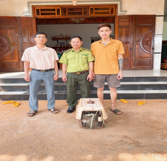 Cá thể Khỉ đuôi lợn sau khi được tiếp nhận sẽ được chăm sóc, cứu hộ và phục hồi tập tính hoang dã bởi Trung tâm Tuyên truyền, Du lịch và Cứu hộ bảo tồn. Sau đó, sẽ thực hiện các thủ tục sở hữu toàn dân trước khi tái thả về môi trường rừng tự nhiên.