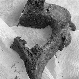 Các phương pháp nghiên cứu cho thấy dấu tích của bệnh lao trên hai bộ hài cốt này, từ DNA của vi khuẩn lao đến các dấu hiệu sinh học trên xương.