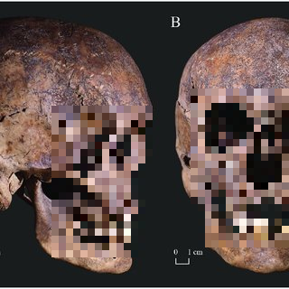 Hai bộ hài cốt này thuộc về một đứa trẻ 3-4 tuổi và một phụ nữ trưởng thành, qua đời cách nhau khoảng 3.000 - 4.000 năm.