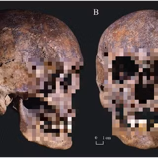 Hai bộ hài cốt này thuộc về một đứa trẻ 3-4 tuổi và một phụ nữ trưởng thành, qua đời cách nhau khoảng 3.000 - 4.000 năm.