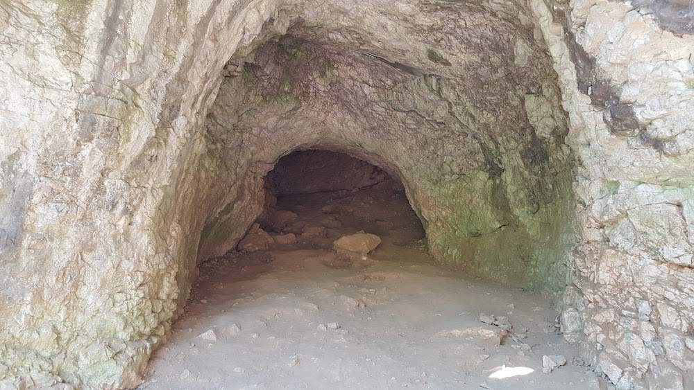 Có khả năng Neanderthals đã lây bệnh lao từ động vật lớn, và sự giao phối dị chủng giữa Neanderthals và Homo sapiens có thể đã lan truyền bệnh lao.