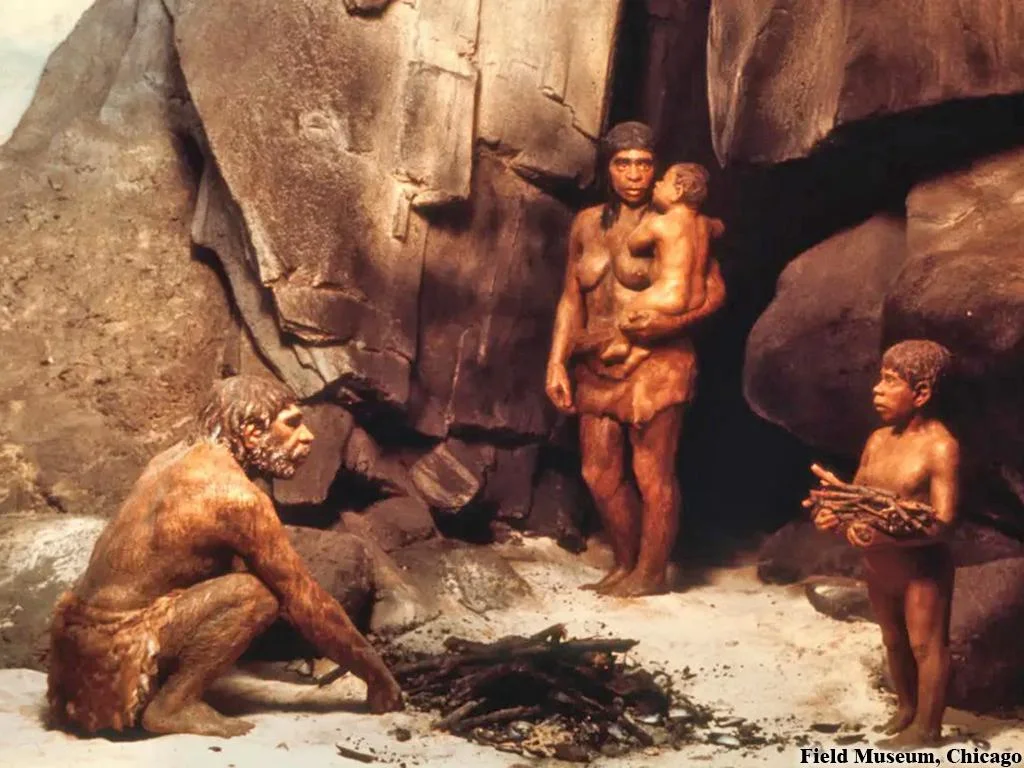 Sự xuất hiện của bệnh lao ở Neanderthals ở Hungary đã kéo dài hàng nghìn năm, đặc biệt là ở miền Trung Âu.