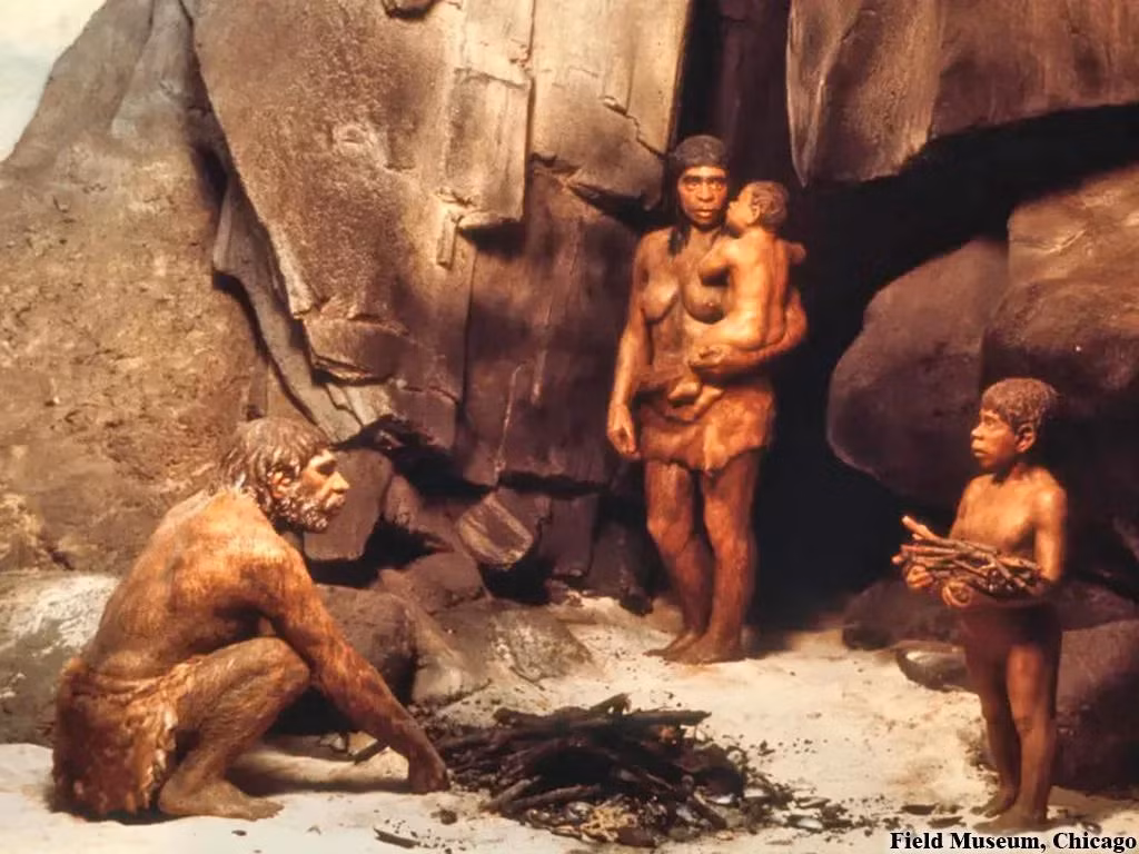 Sự xuất hiện của bệnh lao ở Neanderthals ở Hungary đã kéo dài hàng nghìn năm, đặc biệt là ở miền Trung Âu.