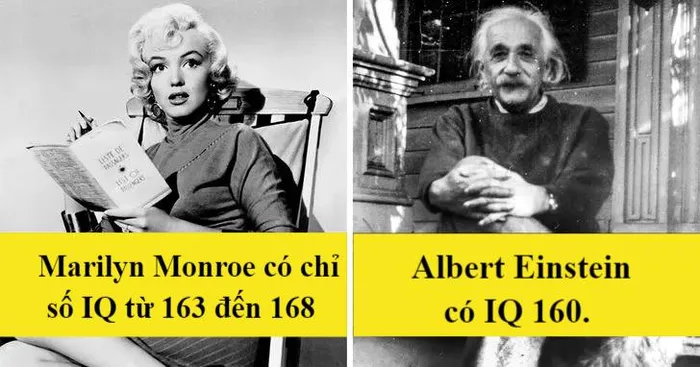 5. Marilyn Monroe có chỉ số IQ cao hơn Albert Einstein: Có thông tin cho thấy chỉ số IQ của Marilyn Monroe cao hơn so với của Albert Einstein. Tuy khó chứng minh, nhưng điều này cho thấy cô là một phụ nữ thông minh.