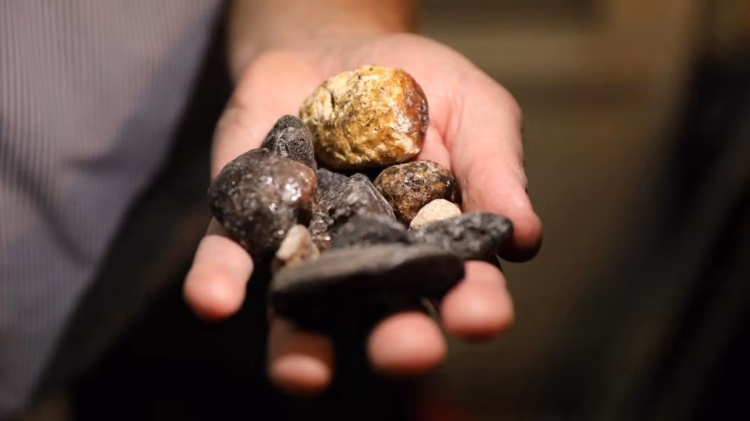 Long diên hương được săn lùng và có giá trị cao do tính quý hiếm và mùi hương đặc biệt của nó.