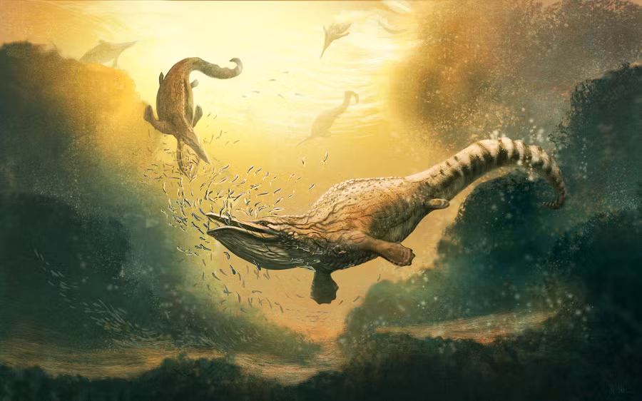 Loài này có mỏ bồ nông, thân hình như khủng long và chân giống vây, thuộc một nhóm bò sát biển gần gũi với ngư long.