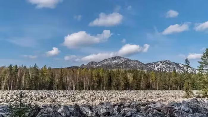 Đặc điểm độc đáo của sông Big Stone là cách nó xuyên qua một rừng thông rậm giống như một dòng sông thực sự. Tuy nhiên, nó không di chuyển và không có nước chảy.