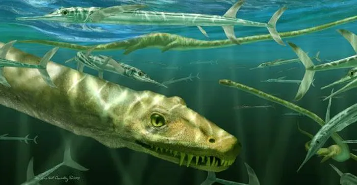 Nhóm khoa học Trung Quốc - Đức - Anh đã xác định đó là loài Dinocephalosaurus orientalis, một loài bò sát biển quái dị và sơ khai nhất trong thế giới khủng long.