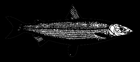 Các biến đổi này có thể là do môi trường sống thay đổi, và do đó, DNA của chúng giống nhau mặc dù ngoại hình có thể khác nhau.