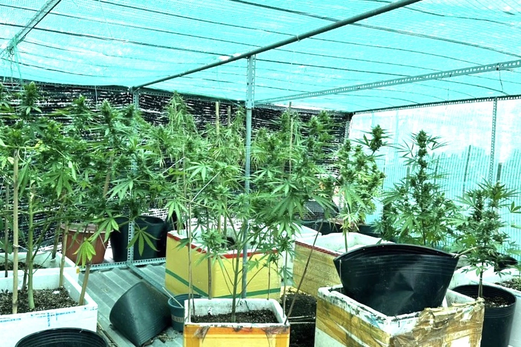 Bat qua tang nam sinh vien trong can sa tren mai nha