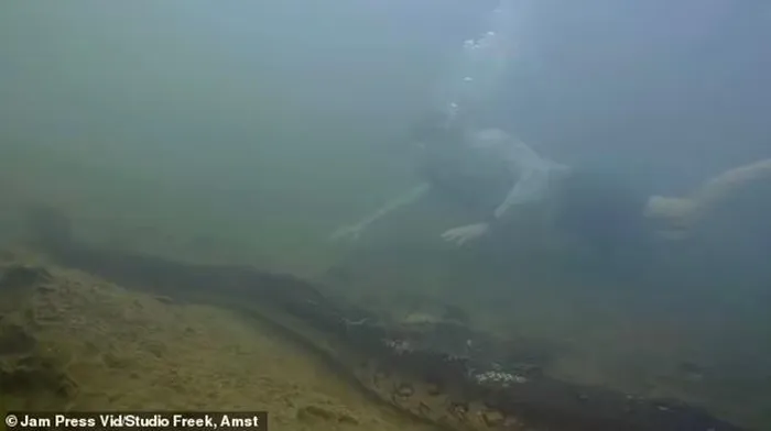 Dù kích thước của quái vật này đáng kinh ngạc nhưng Giáo sư Vonk không ngần ngại tiếp cận nó.