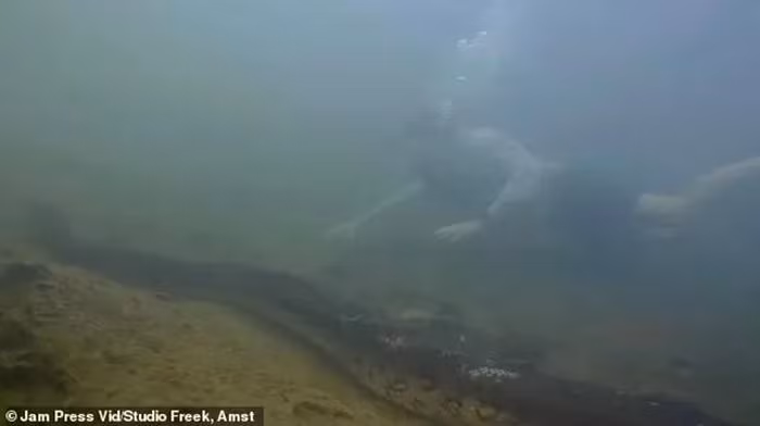 Dù kích thước của quái vật này đáng kinh ngạc nhưng Giáo sư Vonk không ngần ngại tiếp cận nó.