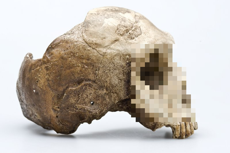 Nhóm người này, có hài cốt được tìm thấy trong hang Ilsenhöhle, thuộc về các bộ lạc chiếm đóng miền Đông và miền Trung nước Đức.