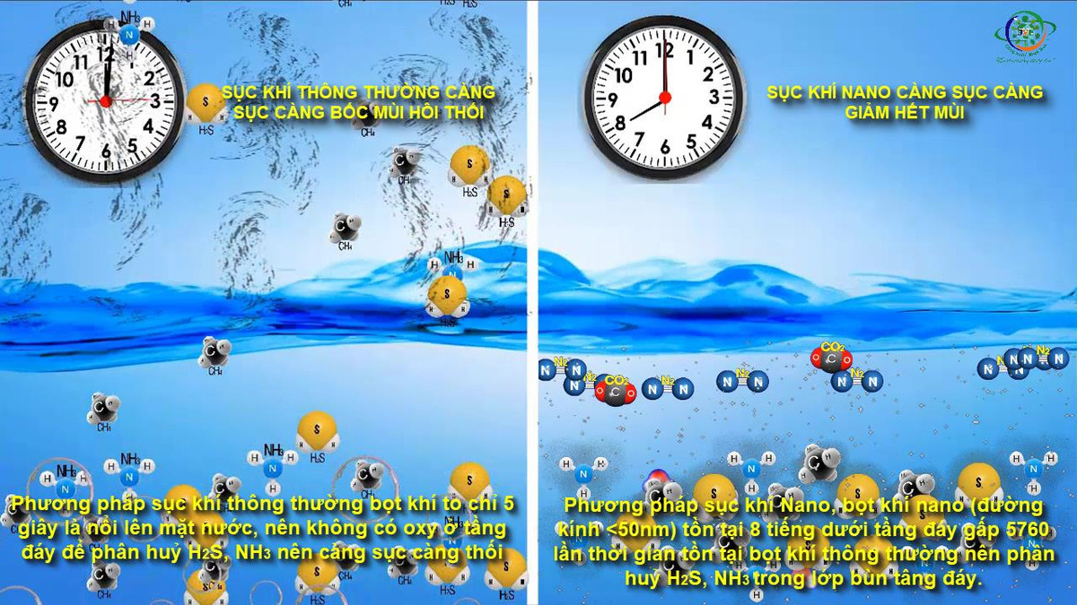 JVE bat ngo khi PGD So Xay dung noi “da tu bo xu ly song To Lich”-Hinh-4