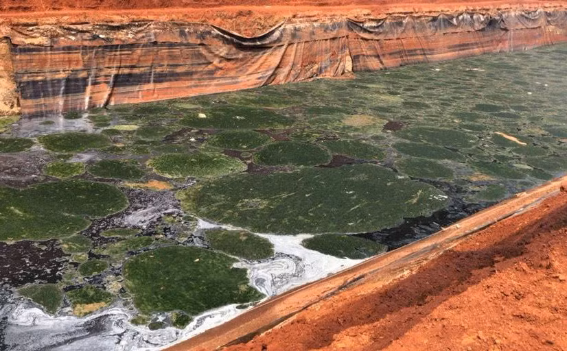 JVE bat ngo khi PGD So Xay dung noi “da tu bo xu ly song To Lich”-Hinh-2