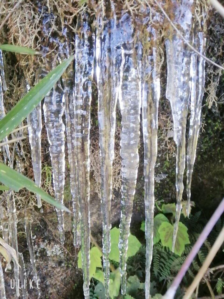 Sáng sớm ngày 24/12, đúng dịp Giáng sinh, những du khách đầu tiên lên đỉnh Fansipan vỡ òa cảm xúc khi được chứng kiến cảnh tượng thiên nhiên kỳ thú hiếm có. Dưới cái lạnh -1 độ C, băng giá đã phủ trắng khu vực đỉnh. Bên những vách núi, băng tạo thành những khối nhũ trong như pha lê.