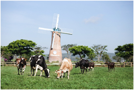 Sua tuoi Organic cua Vinamilk “bat song” nguoi tieu dung Singapore-Hinh-4