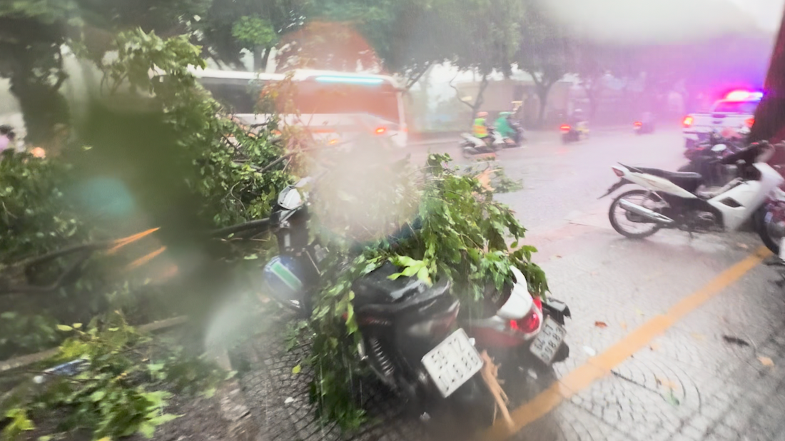 Một nhánh cây trên đường Điện Biên Phủ (đoạn qua phường Đa Kao, quận 1 gãy đổ xuống đường, đè 2 xe máy. Rất may không gây thiệt hại về người.