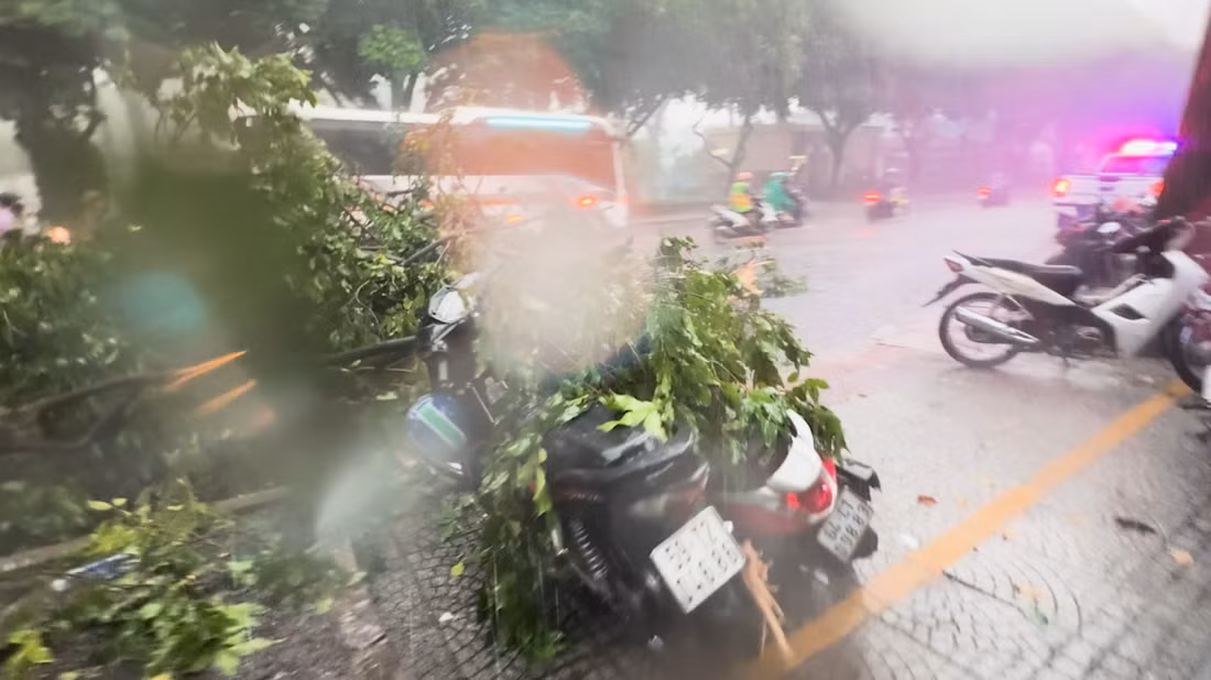 Một nhánh cây trên đường Điện Biên Phủ (đoạn qua phường Đa Kao, quận 1 gãy đổ xuống đường, đè 2 xe máy. Rất may không gây thiệt hại về người.