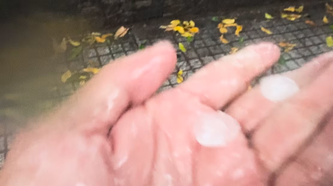 Theo ghi nhận của PV Tri thức và Cuộc sống, tại quận 1, mưa đá rơi hầu như khắp các phường trên địa bàn. Viên đá to bằng đầu ngón tay đã khiến nhiều người dân, du khách thích thú khi hiếm hoi chứng kiến mưa đá.