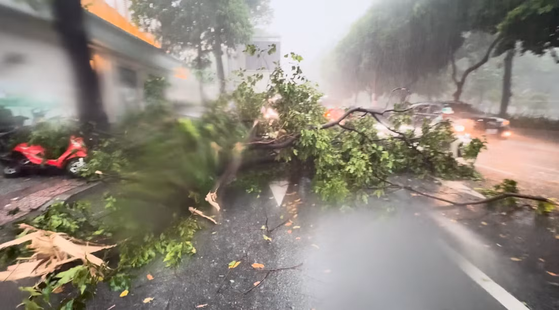 Mưa lớn cũng đã gây ra hàng loạt sự cố ở nhiều nơi trên địa bàn TP HCM.