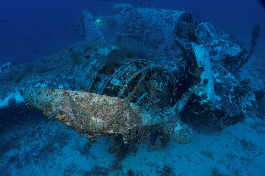 Vị trí xác máy bay Baltimore FW282 và số phận 3 thành viên phi hành đoàn trở thành bí ẩn lớn trong suốt nhiều năm. Ảnh: AegeanTec/Australian Department of Defense.