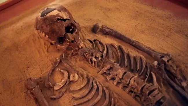 Cách các nhà khảo cổ xác định giới tính của mỗi bộ hài cốt cổ đại sau khi khai quật khiến nhiều người tò mò. Thông qua tình trạng của thi hài, họ có thể xác định giới tính với độ chính xác lên tới 95%. Ảnh: JOSEPH EID via Getty Images.