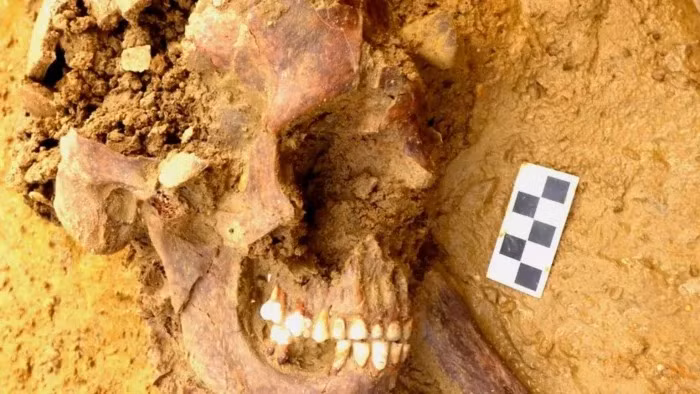 Thế nhưng, nếu xương chậu của bộ hài cốt cổ xưa được bảo quản tốt thì các chuyên gia chỉ cần nhìn vào một số đặc điểm của nó thường là phương pháp chính xác giới tính chính xác hơn so với việc dựa vào phép đo xương chân. Ảnh: MOLA Headland Infrastructure.