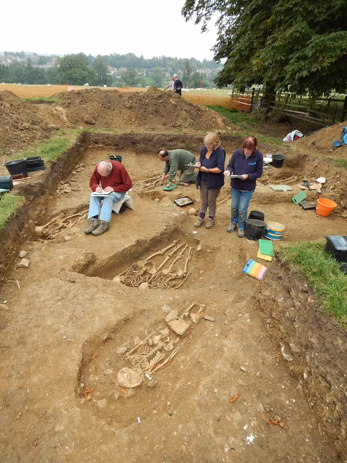 "Trung bình, nam giới cao lớn hơn nữ khoảng 15%", Kaleigh Best, nhà nhân chủng học sinh học tại Đại học Western Carolina, cho biết. Tuy nhiên, nhiều biến số như chế độ ăn uống, di truyền, bệnh tật và môi trường sống có thể ảnh hưởng tới kích thước cơ thể. Vậy nên có thể có sự khác biệt lớn ngay cả giữa những người cùng giới tính. Ảnh: abcnews.
