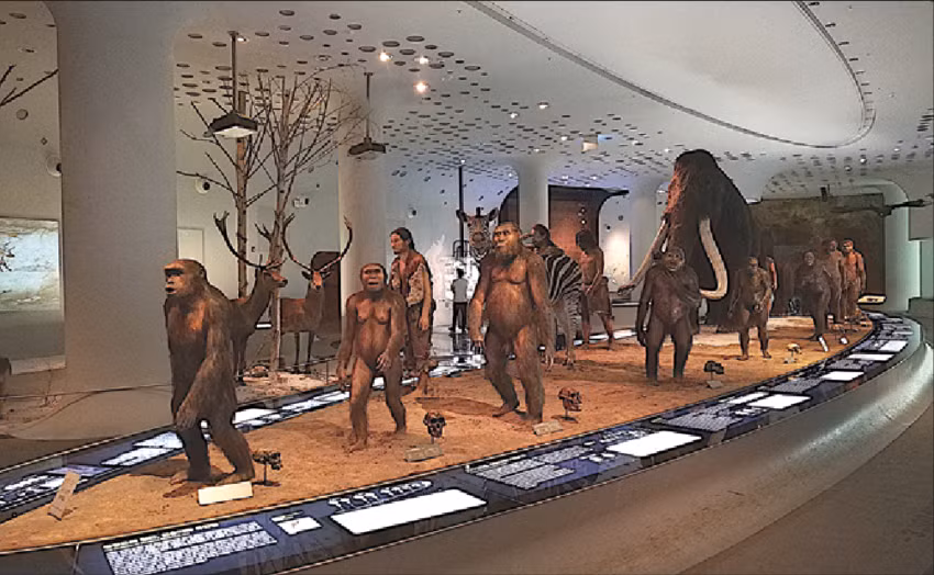 Theo đó, việc tìm thấy Apidima 1 và Apidima 2 giúp các chuyên gia xác định được rằng người hiện đại đã di cư từ châu Phi đến lục địa Á Âu nhiều lần trong suốt thời gian dài. Tuy nhiên, không phải lần di cư nào cũng kết thúc là việc định cư lâu dài. Ảnh: researchgate.