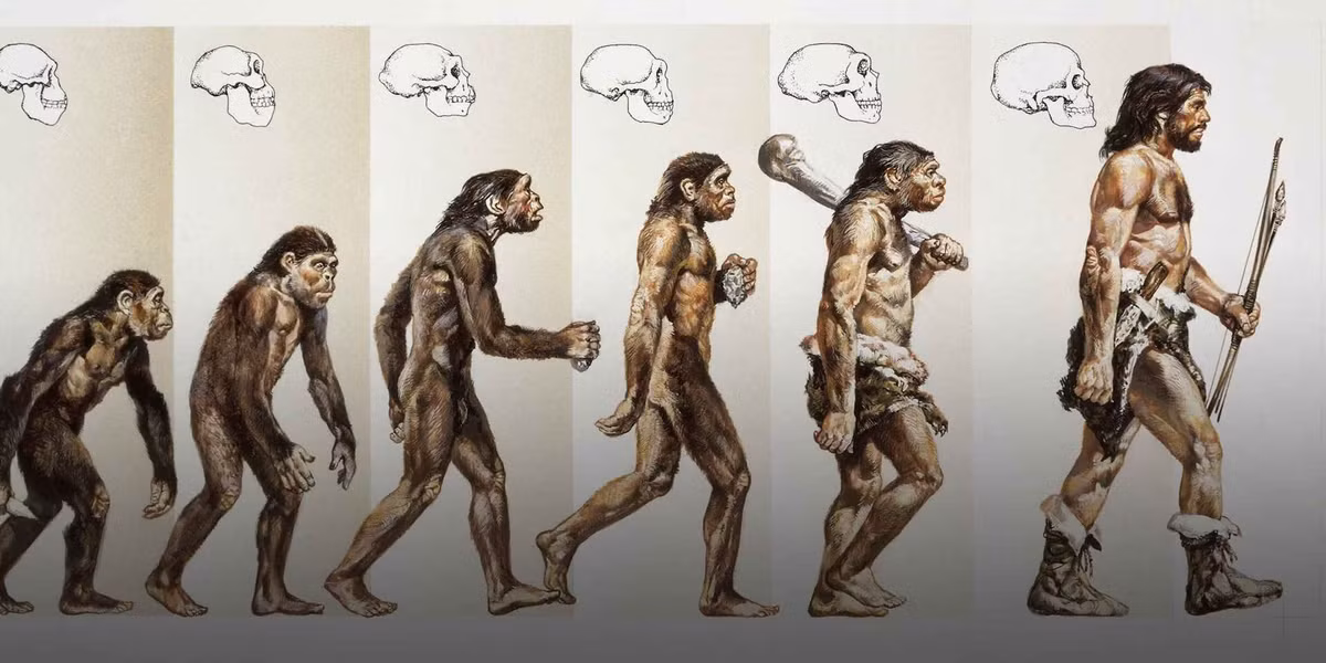 Trước đó, hóa thạch của người hiện đại (Homo sapien) lâu đời nhất được tìm thấy ở châu Âu có niên đại hơn 160.000 năm tuổi. Ảnh: DEA Picture Library/De Agostini/Getty Images.