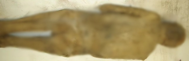 Xác ướp tu sĩ trên được tìm thấy trong hầm mộ nhà thờ ở St. Thomas am Blasenstein - một ngôi làng nhỏ ở Áo gần sông Danube. Thi hài được cho là của một cha xứ tên là Franz Xaver Sidler von Rosenegg - người qua đời năm 1746, hưởng thọ 37 tuổi. Ảnh: Andreas Nerlich.