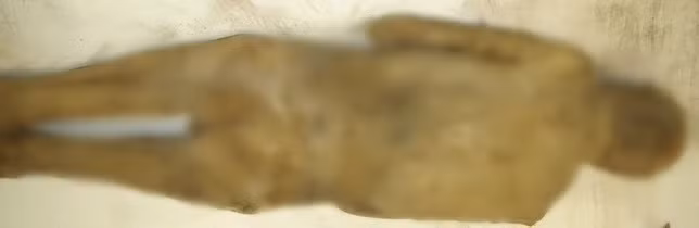 Xác ướp tu sĩ trên được tìm thấy trong hầm mộ nhà thờ ở St. Thomas am Blasenstein - một ngôi làng nhỏ ở Áo gần sông Danube. Thi hài được cho là của một cha xứ tên là Franz Xaver Sidler von Rosenegg - người qua đời năm 1746, hưởng thọ 37 tuổi. Ảnh: Andreas Nerlich.