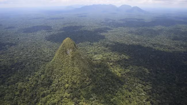 Bi an cau truc hinh kim tu thap sau trong rung Amazon