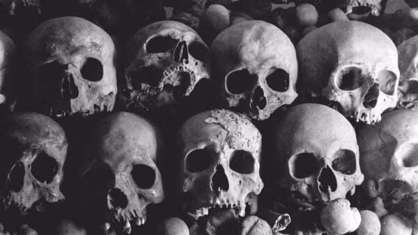 "Cuộc sống hàng ngày của họ dường như khá khó khăn", chuyên gia Seaman nói. Các nhà nghiên cứu cũng kiểm tra các bộ hài cốt và phát hiện bằng chứng về bệnh viêm khớp và các bệnh thoái hóa khớp, cũng như xương gãy và xương gãy đã lành ở phụ nữ thời Trung cổ. Ảnh: Pexels