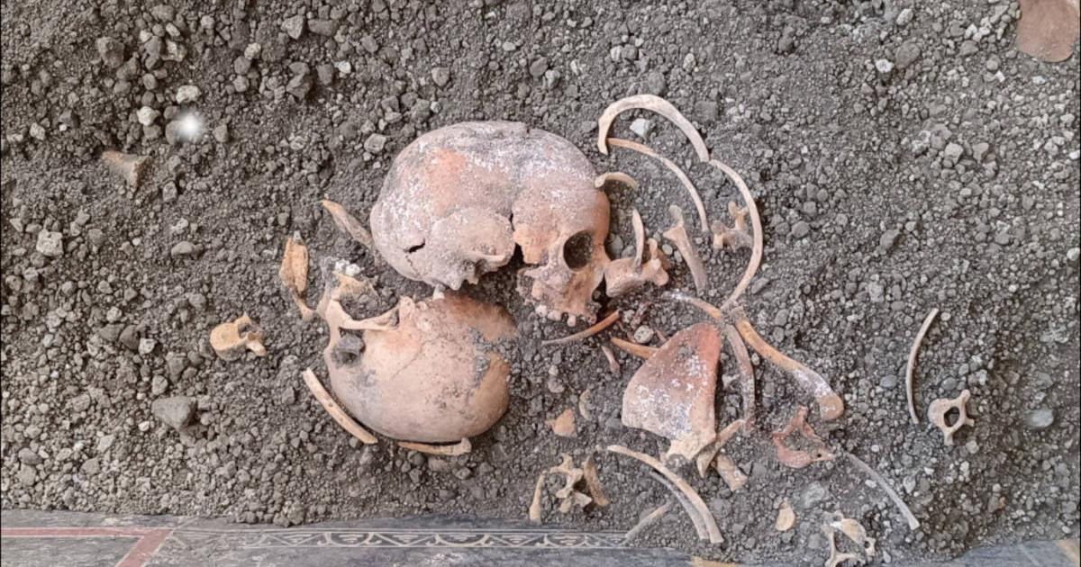 Các nhà khảo cổ đã khai quật tàn tích của một ngôi nhà dọc theo Via del Vesuvio, hiện được gọi là "Ngôi nhà của Elle và Frisso" ở Pompeii. Ngôi nhà này chứa bằng chứng quan trọng về nỗ lực chạy trốn tới nơi an toàn để sống sót của một gia đình khi xảy ra thảm họa kinh hoàng gần 2.000 năm trước.