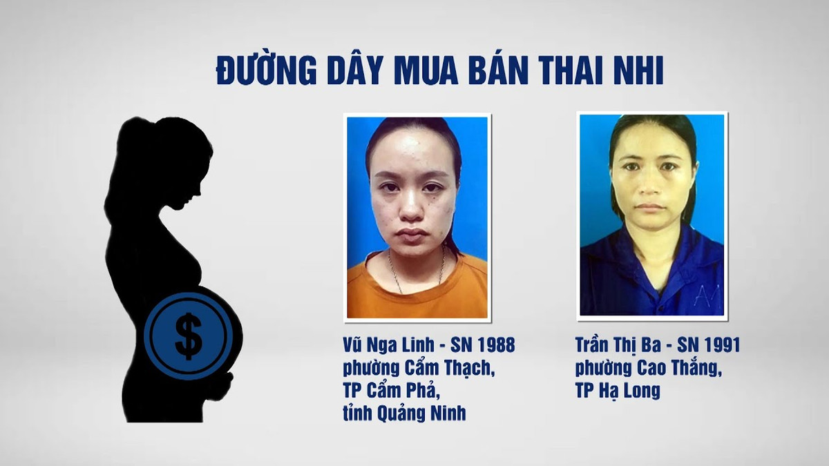 Về hành vi "Tổ chức mang thai hộ nhằm mục đích thương mại" tại TP Hạ Long, Quảng Ninh. Qua lời khai ban đầu của đối tượng Trần Thị Ba, những người phụ nữ sống tại chung cư là những người đang mang thai hộ, mỗi trường hợp mang thai hộ thành công được 30 triệu đồng, các cháu bé sau khi sinh sẽ được chuyển sang bệnh viện ở Trung Quốc.