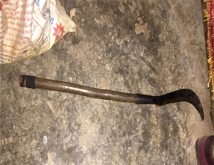 Buc xuc voi gia dinh nha vo, con re chem me vo tu vong-Hinh-2