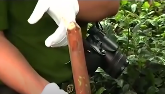 Người cháu ông N. và Sơn được triệu tập, song đều đưa ra chứng cứ ngoại phạm. Trong lúc mọi việc đang "rối như tơ vò", trinh sát tìm thấy ở bìa rừng gần hiện trường có một cây gậy bạch đàn dính máu. Vết máu sau đó được xác định trùng với máu nạn nhân.