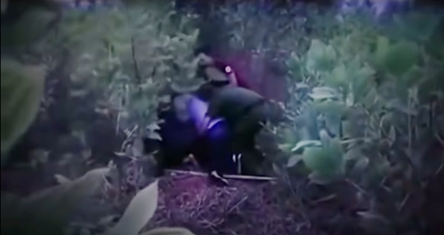 Lật lại một số lời khai ban đầu của Sơn, điều tra viên thấy không khớp. Theo người nhà, Sơn chuẩn bị cưới vợ, hiện đi đâu không rõ. Xâu chuỗi nhiều tình tình tiết, nhà chức trách khẳng định Sơn là nghi can chính. Chiều 24/11/2009, nhận tin anh ta đang ở thị xã Phú Thọ, cảnh sát siết vòng vây bắt giữ Sơn.