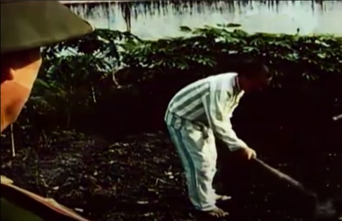 Quá trình điều tra xác định: Tháng 11/2013, Dương bị Công an huyện Đông Hưng bắt về hành vi mua bán trái phép chất ma túy và bị Tòa án nhân dân huyện Đông Hưng xử phạt 7 năm tù. Ngày 16/6/2013, Dương chuyển đến Trại giam Thanh Phong, Bộ Công an để thi hành án. Khoảng tháng 6/2018, Dương đã được giảm án, tha tù trước thời hạn về địa phương sinh sống. Sau khi về địa phương, đối tượng làm nghề lái xe ô tô chở hàng thuê.