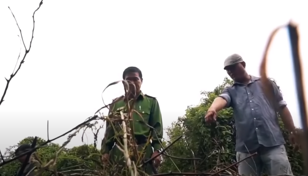 Chị Hoa là công nhân Công ty Pou-yuen, thuê nhà trọ ở Tỉnh lộ 10, phường Tân Tạo, quận Bình Tân, TP HCM, bị sát hại ngày 26/1/2012. Nhận định đây là vụ án giết người đặc biệt nghiêm trọng, Giám đốc Công an tỉnh Long An ký quyết định thành lập Ban chuyên án, khẩn trương điều tra làm rõ. Hình ảnh đóng diễn
