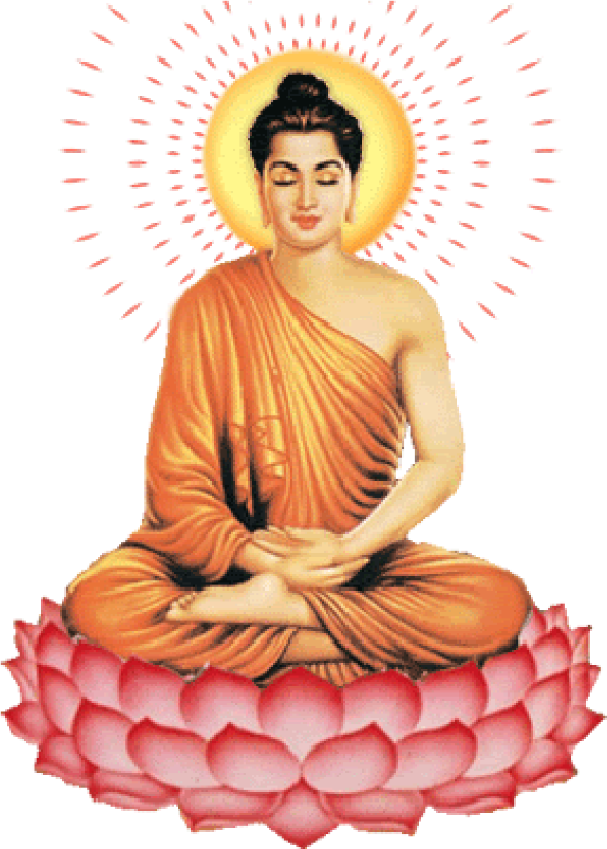 Đó là hòa thượng Thích Thông Lạc. Anh đã hỏi thầy rất nhiều câu hỏi: Đức Phật Thích Ca là ai? Ngài có phải là vị thần linh có muôn vàn phép thuật? Làm thế nào để diệt trừ được tham, sân, si? Hòa Thượng Thích Thông Lạc, đã giải đáp từng câu hỏi của anh. Nhờ đó, anh hiểu, Đức Phật không phải là đấng thần linh tối thượng có phép thuật muôn màu có thể ban phúc, giáng họa. Ngài là một người bình thường như chúng ta nhưng nhờ công phu tu tập mà ngài có trí tuệ và lòng từ bi lớn. Vì thế, ngài có rất ít khổ đau. 