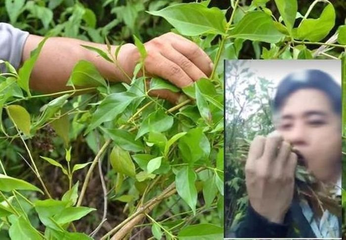  Ăn lá ngón tự tử vì không cho lấy vợ 2: Đòi vợ cho lấy thêm người nữa nhưng không được, anh Xồng Bá B. (SN 1989, trú xã Na Ngoi, huyện Kỳ Sơn, tỉnh Nghệ An) đã lên rừng ăn lá ngón tự tử, thậm chí còn quay clip rồi gửi cho "người yêu". Sau khi sự việc xảy ra, gia đình đã đưa thi thể anh B. về mai táng theo phong tục địa phương. 