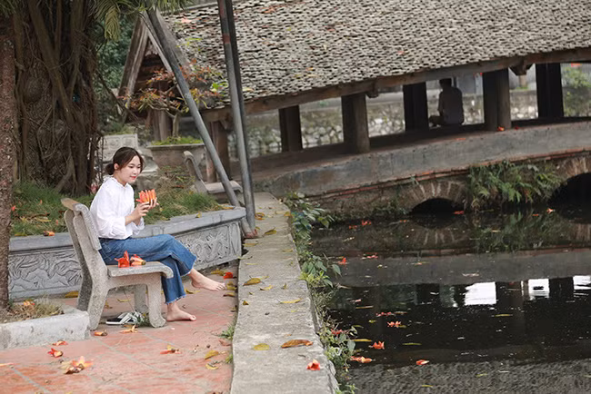 Những ngày này, nhiều người yêu thích chụp ảnh thường tìm về Chùa Thầy để ghi lại khoảnh khắc bình yên, trầm mặc bên hoa gạo.