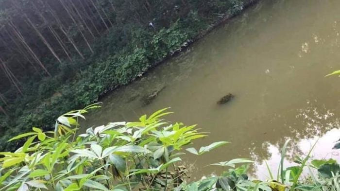  Hai chị em đuối nước dưới ao cạnh nhà: Ngày 15/11, UBND xã Thống Nhất (huyện Lạc Thủy, tỉnh Hòa Bình) cho biết trên địa bàn vừa xảy ra vụ đuối nước khiến cháu N.T.M (SN 2015) và em ruột là N.T.D (SN 2019, trú tại thôn Liên Phú 3, xã Thống Nhất) tử vong. Theo đó, hai cháu chơi gần ao cạnh nhà, không may bị trượt chân ngã xuống nước. 