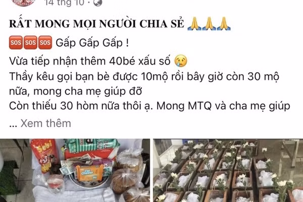 Keu goi tien ho tro chon cat hai nhi xau so roi chiem doat tien ty-Hinh-2